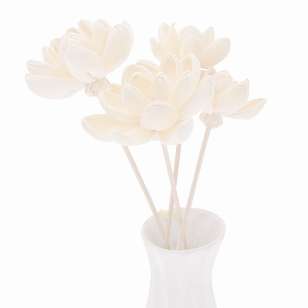 Expand Fragrance Flower For Ho - Home Fragrance Incense review and price